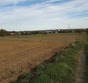 Boucle Tarbes Ouest - Tarbes - 2