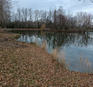 Boucle autour du plan d eau d'Orcet - Orcet - 2