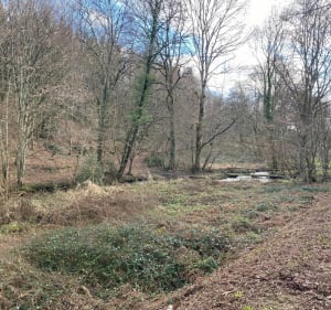 Balade sur les bords de la Cazine - Colondannes - 3