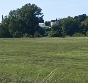 Promenade dans la campagne de la Chapelle Saint Mesmin - Saint-Ay - 2