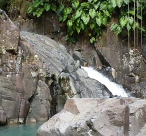 Balade au Saut d'Acomat - Pointe-Noire - 4