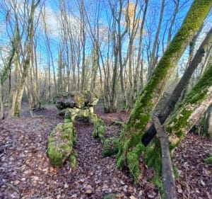 Dolmen à Trie-Château - Karine - 3