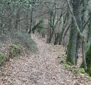 Boucle autour de Munster - Wihr-au-Val - 2