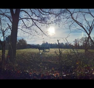 Rando autour d'Oradour-sur-Glane - Oradour-sur-Glane - 2