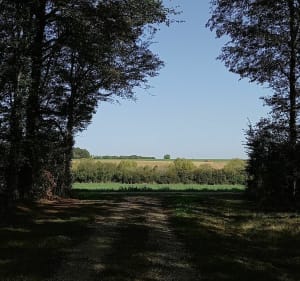 VTT de Couternon vers Tellecey. - Couternon - 2