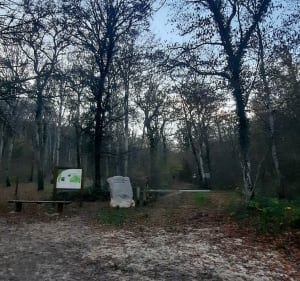 Randonnée à travers bois de Marsannay-la-Côte - Marsannay-la-Côte - 2