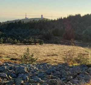 Balade autour de la Jasserie vers le Bessat et le Crêt de la Perdrix - La Valla-en-Gier - 4