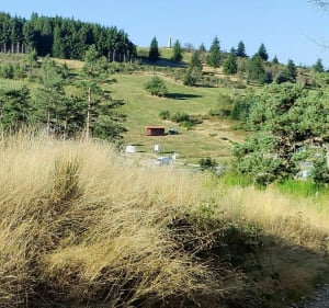 Loop rond de Jasserie richting Bessat en de Crêt de la Perdrix - La Valla-en-Gier - 2
