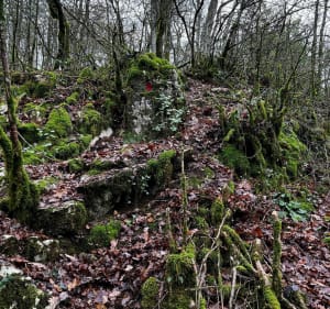 Belle petite randonnée dans la commune de Magnieu - Alberto - 4