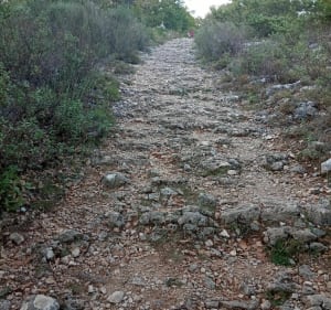 Het Bois de Gourdon, zijn kapel en paddenstoelenjacht - Gourdon - 2