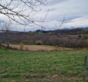De Cieutat à Montignac - Pascale - 2
