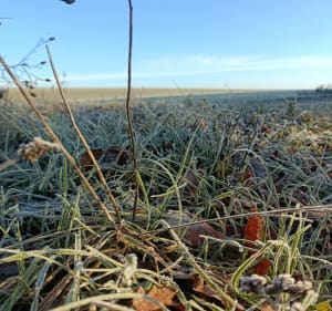 Petite sortie hivernale du côté des Aix d'Angillon - Cyril - 2