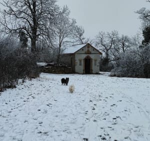 Balade a Vesthalten, par la Chapelle Oelberg - Westhalten - 2