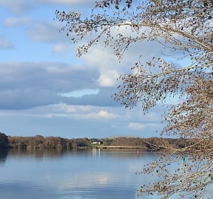 Plage verte à Sucé-sur-Erdre - PATRICIA - 4