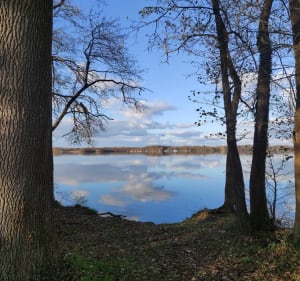 Plage verte à Sucé-sur-Erdre - Sucé-sur-Erdre - 2