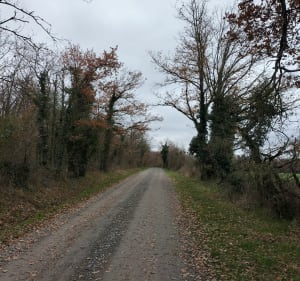 Saint Galmier - JP Holder - 3