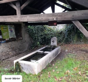 Mûrier,  Villeneuve et Romage en boucle - Jose - 4
