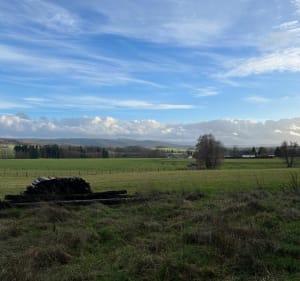 Petite tour de la Baffe - Charmois-devant-Bruyères - 2