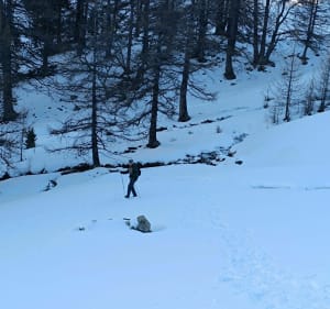 Petit sur les traces d'un lièvre variable - Vars - 2
