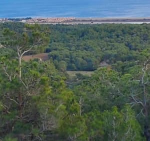 Sortie VTT proche de Narbonne dans les sentiers autour des Auzils - Narbonne - 2