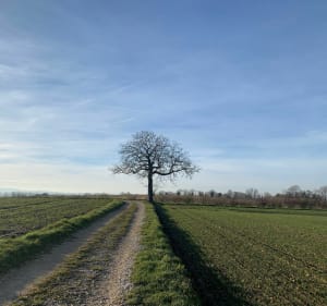 Balade sur le plateau avec magnifique panorama sur les Alpes - Bourgoin-Jallieu - 3