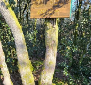 Rando par le Mont Abon - Saint-Mard-de-Vaux - 2