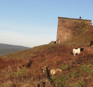Randonnée Château Lichtenberb.. - Reipertswiller - 2