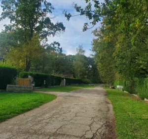 Balade champêtre entre Savigny bourg et plessis la Forêt - Savigny-le-Temple - 2