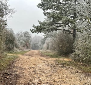 Sentier du tacot à Gevrey-Chambertin - Gevrey-Chambertin - 2