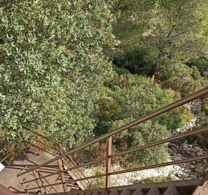 Boucle cimetière juif par le mont Gaussier - Saint-Rémy-de-Provence - 3