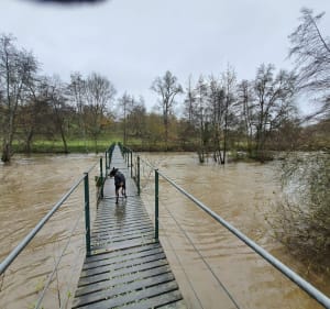 La passerelle d'Auzay - Argentonnay - 2