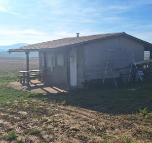 De Fondblanche à Seyssuel en passant par le bois. - Communay - 2