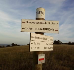 Les pelouses calcaires de Lorry-Mardigny et le Froidmont - Christophe - 5