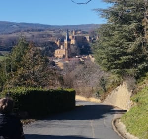 Sentier du Tacot - Helinea - 3