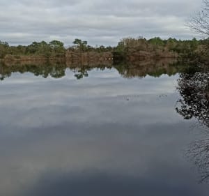 Étang de Moliets depuis le centre de Moliets-et-Maa - Moliets-et-Maa - 2