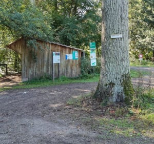 Randonnée dans le Ried alsacien - Daniel - 3