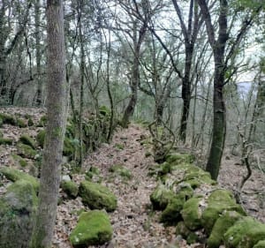 Boucle de Grabels. - Grabels - 2
