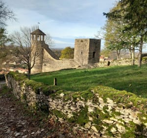 Entre bois et cité médiévale, colline Saint-Hippolyte à Cremieu - Crémieu - 2