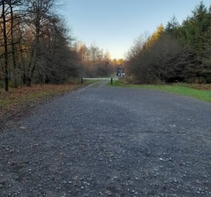 Bois de Renwez vers Witaker - Renwez - 2