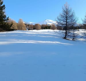 Tour vers le Paneyron et le Châteleret - Vars - 2