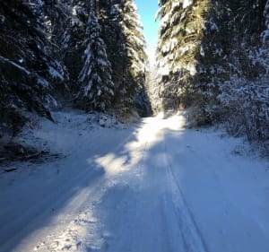 Balade de la Tanne, par la forêt de la Joux Derrière - La Chaumusse - 2