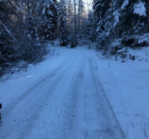 Balade de la Tanne, par la forêt de la Joux Derrière - Mélanie - 3