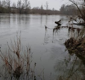 Le long des quais de la Loire par l'île Aucard aux Maisons Blanches - Saint-Pierre-des-Corps - 3