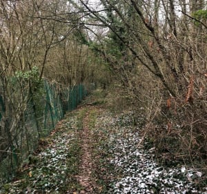 Au cœur des champs Nogent sur Seine - Nogent-sur-Seine - 2