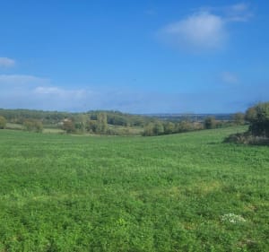 De Chezelles à Vouneuil par le Bois du Fou à VTT - Naintré - 2