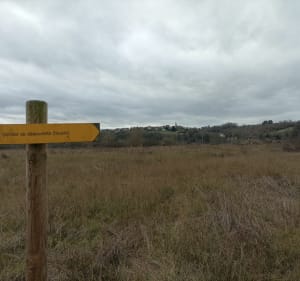 Balade en réserve Naturelle de Monetay sur Allier - Davy - 3