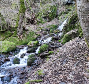 Cascade du Siehlbaechle en forêt de Wattwiller - Wattwiller - 2