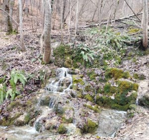 De Saint Oyen à la Cascade du Morel - Grand-Aigueblanche - 2