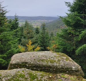 Alentours de Domfaing, par Vervezelle, Bruyères et Croix de Frésimont - Domfaing - 2