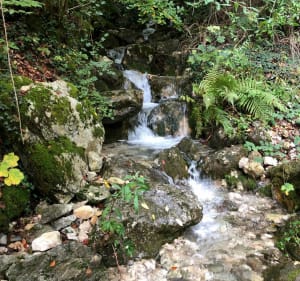 Boucle du Moulin de l’étang vers La Croix de Sevrier - Sévrier - 4